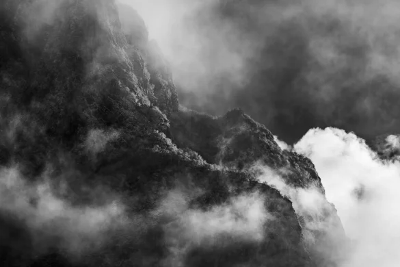 contrasti in bianco e nero
